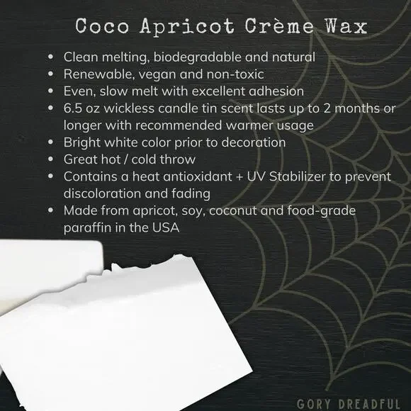 Plum Spooky Wickless Candle: Plum Cinnamon Patchouli Leaf Cashmere Woods Scent - Picture 6 of 8